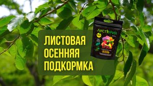 Листовая осенняя подкормка