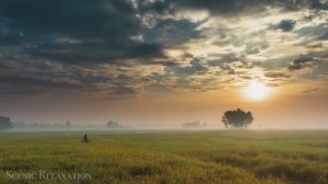 Bangladesh 4K - Scenic Relaxation Film With Traditional Music