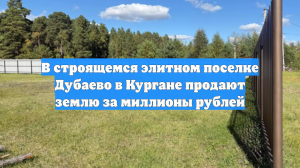 В строящемся элитном поселке Дубаево в Кургане продают землю за миллионы рублей
