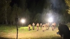 танцы под луной