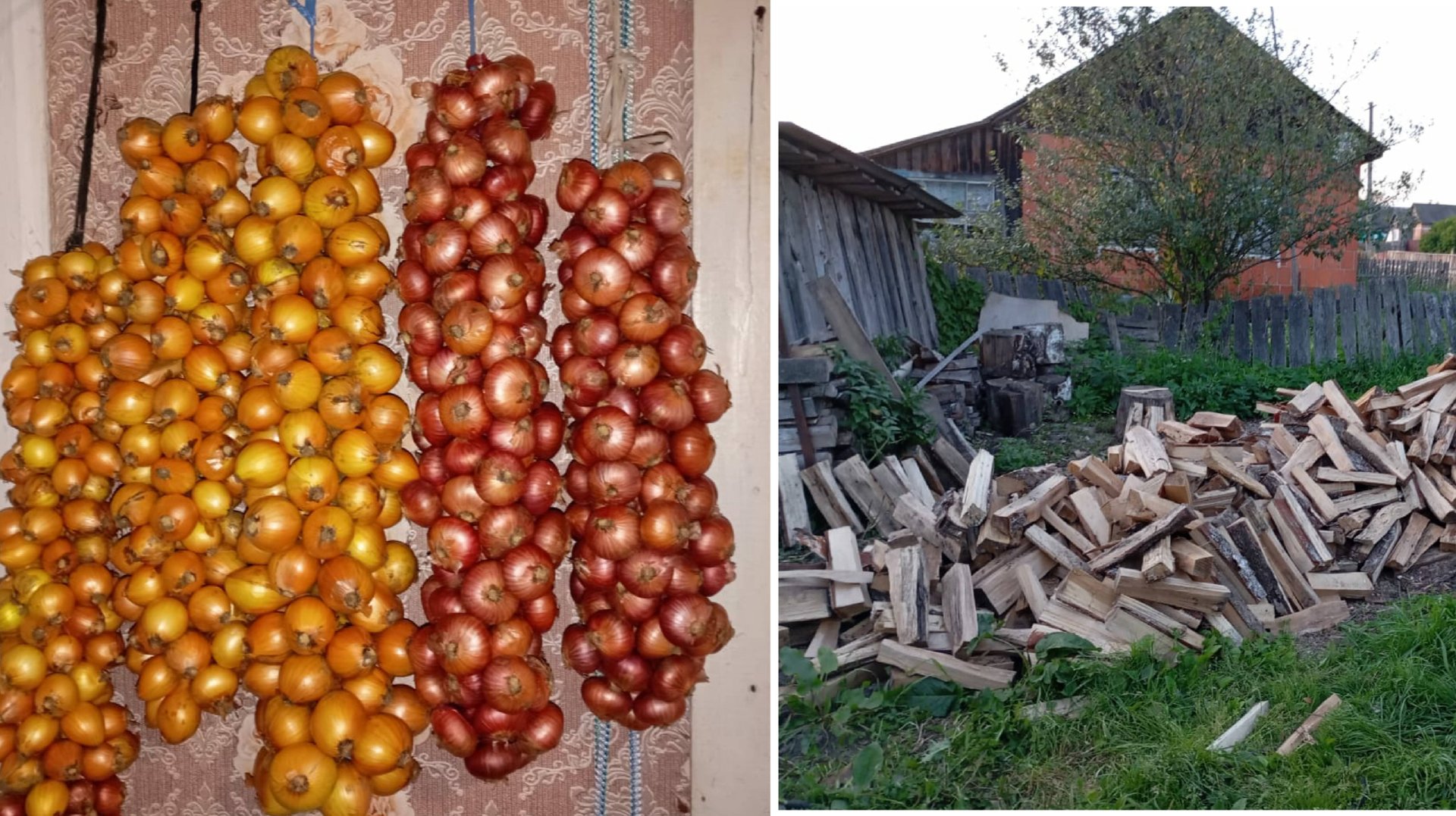 Вяжу...лук, складываю дрова! Осень... смотреть онлайн