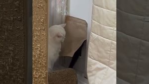 Когда пришел домой среди ночи с гулянки, а жена не спит