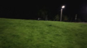 акустикк back telik