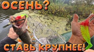 ЭТОТ «ДИНОЗАВР» ЛОВИТ! 👍🏻Спиннинг на озере осенью Новосибирск!