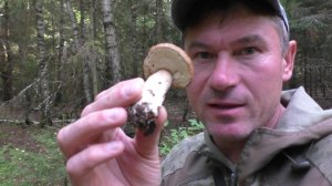 УШЁЛ В ЛЕС ВЕЧЕРОМ ПО ГРИБЫ! И ВОТ ЧТО МНЕ УДАЛОСЬ НАЙТИ!