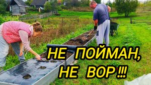 КУПИЛИ ДОМ В ДЕРЕВНЕ | НЕ ПОЙМАН НЕ ВОР | ДОМ В ДЕРЕВНЕ | СЕМЬЯ В СЕЛЕ