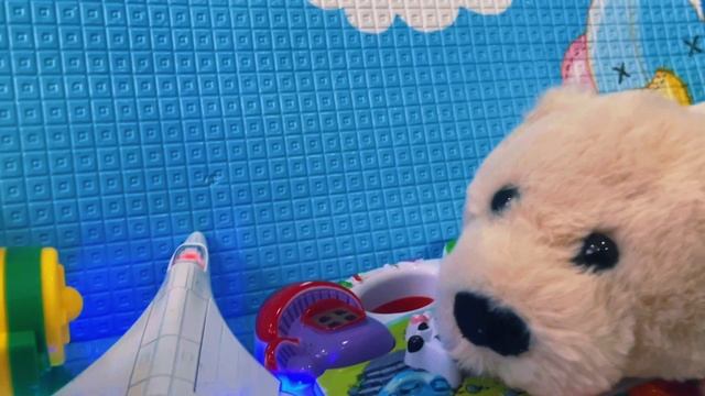 Ворона Ася и сон🌸