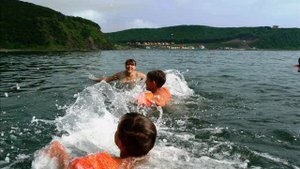 Лето 2008 года