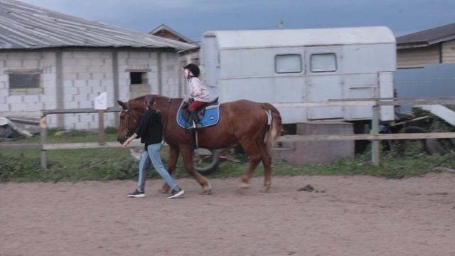 лошадка