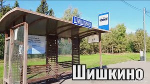 Московская область. д.Шишкино.