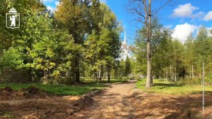 В Ярославле приступили к благоустройству Петропавловского парка