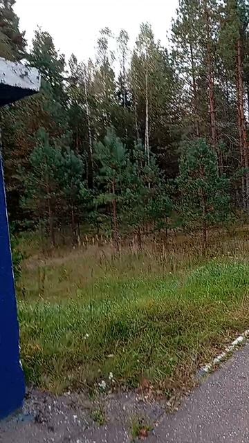 Доброе утро! 🤩 смотреть онлайн