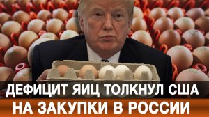 Дефицит яиц толкнул США на закупки в России