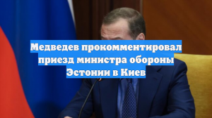 Медведев прокомментировал приезд министра обороны Эстонии в Киев