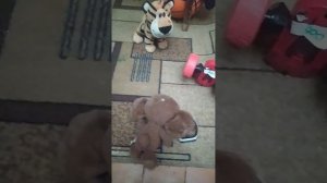 МЫ ОТДАЛИ ЭТОТ БИТУ GRANNY В РЕАЛЬНОЙ ЖИЗНИ! 1 СЕЗОН 9 СЕРИЯ!