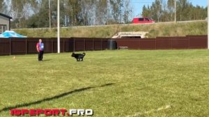 Елена Остапец и Bandit vom Haus Kogor