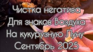 Близнецы Весы Водолеи. Чистка. Сентябрь 2025