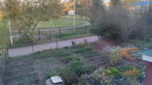 огород в деревне, деревенская атмосфера