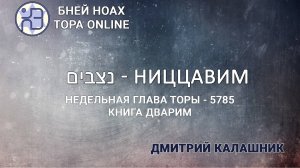 "Ниццавим" 5785/2025. Недельные главы Торы - Парашат а-шавуа | Дмитрий Калашник