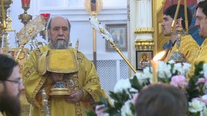 Неделя 23 по Пятидесятнице (2017 г.)