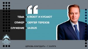 Сергей Терехов: Клюют и кусают