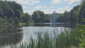 Терлецкие пруды. 06.09.2025