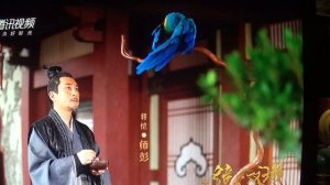 Зеркало города-близнецы     ПОДПИШИСЬ