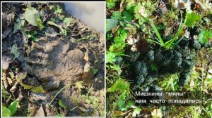 От рассвета до заката или мы на Лукаше