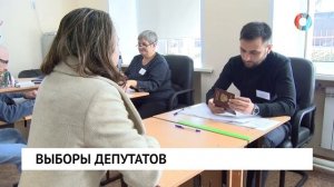 Выборы депутатов