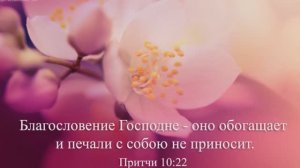 Дух Святой Ты оживляешь