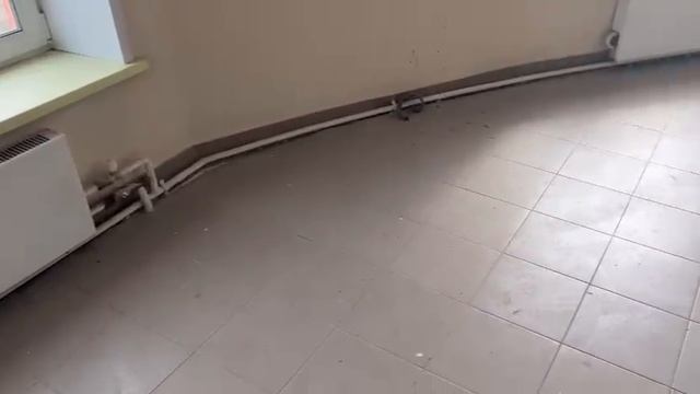 РСР