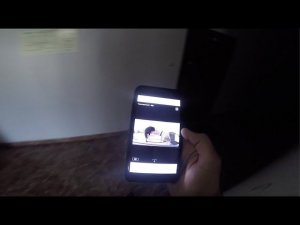 Как отучить собаку залазать на диван/кровать, когда вас нет дома