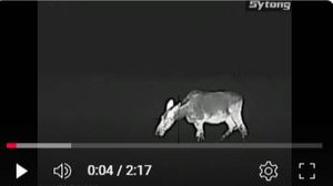 Sytong LM02-25 лось 50 метров