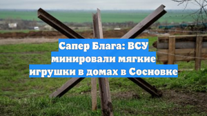 Сапер Блага: ВСУ минировали мягкие игрушки в домах в Сосновке
