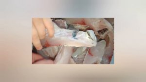 Рыбешка на жарешку.