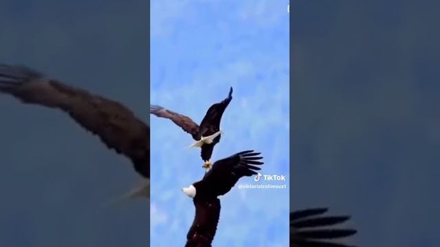 может стать с тобой сумасшедшими