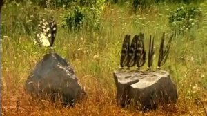 Некрасивый))