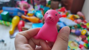 играем в морского котика