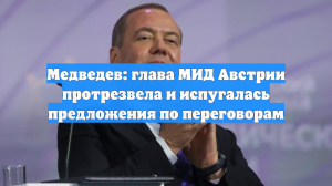 Медведев: глава МИД Австрии протрезвела и испугалась предложения по переговорам