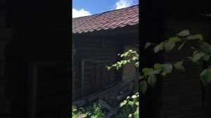 дача баня изба мини обзор