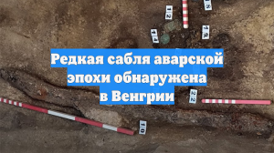 Редкая сабля аварской эпохи обнаружена в Венгрии