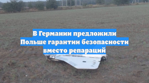 В Германии предложили Польше гарантии безопасности вместо репараций