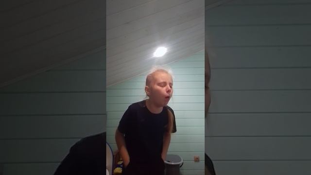 несколько фактов о моей собаке смотреть онлайн