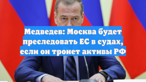 Медведев: Москва будет преследовать ЕС в судах, если он тронет активы РФ