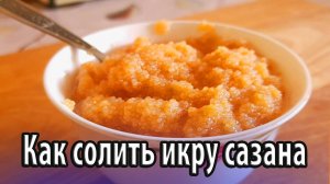 Как вкусно солить икру сазана в домашних условиях