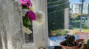 Солнечный сентябрьский день в деревне