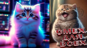 НОВЫЕ видео с кошками 2024 😅 Смешные коты − Смешные видео про котов