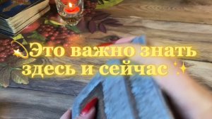 Это важно узнать здесь и сейчас 🔮Таро