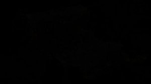 1000046392.mp4"Созвездие любви "