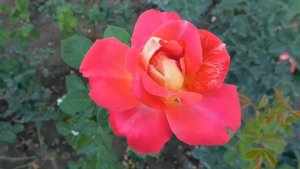 05=09=2025    Ю КМР  (15)